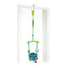 Bounce 'n Spring Deluxe Door Jumper