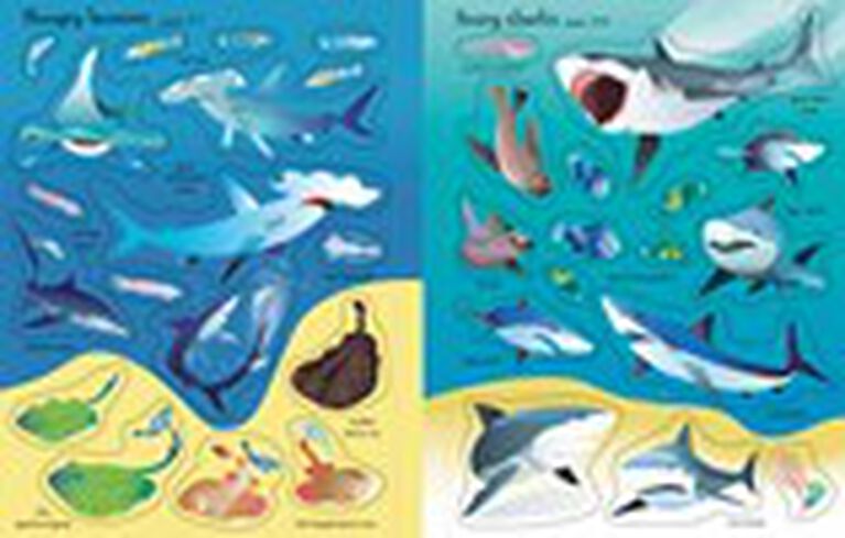 First Sticker Book Sharks and Rays - English Edition