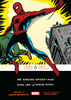 The Amazing Spider-Man - English Edition