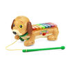 VTech Zoo Jamz Doggy Xylophone - English Edition