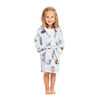 Disney Robe Frozen II Blue - Size 2