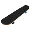 Kryptonics Outlaw Complete Skateboard