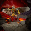 Transformers Generations War for Cybertron: Kingdom Deluxe WFC-K14 Airazor