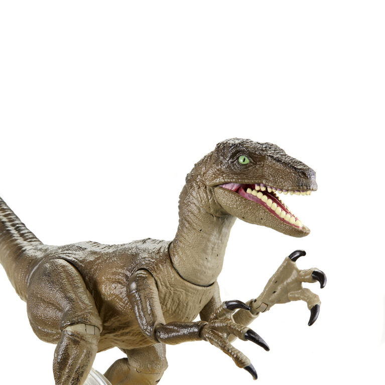 Jurassic World Amber Collection Velociraptor