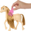 Barbie Mysteries: The Great Horse Chase  Coffret  Poney et access.