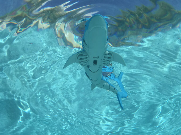 rc floating shark