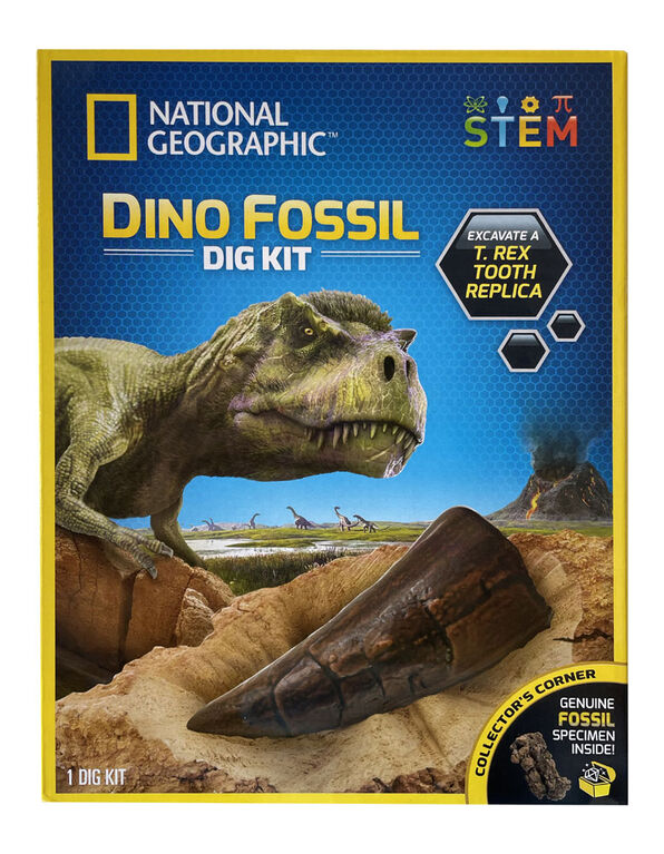 National Geographic - Trousse d'excavation de fossiles de dinosaures
