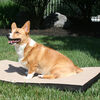 Gen7 Pets Cool-Air Pad Medium - Sand