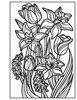 Usborne Minis: Magic Painting Flowers - English Edition