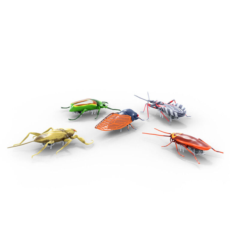 Véritables Insectes Nano, Paquet De 5, Hexbug