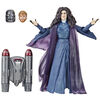 Hasbro Marvel Legends Series, figurine articulée de collection Agatha Harkness de 15 cm inspirée WandaVision