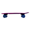 Kryptonics Classic 22.5"  Complete Skateboard Palm Dreams