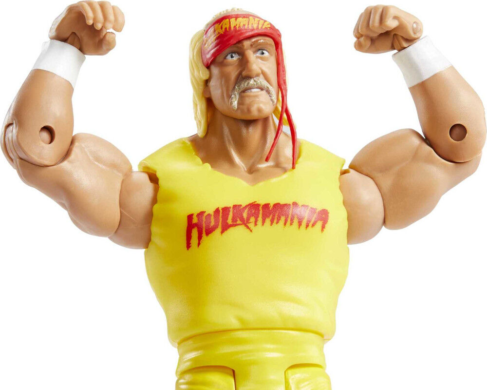 Hulk hogan toys r sales us