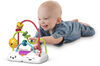 Fisher-Price - Labyrinthe Arc-en-ciel