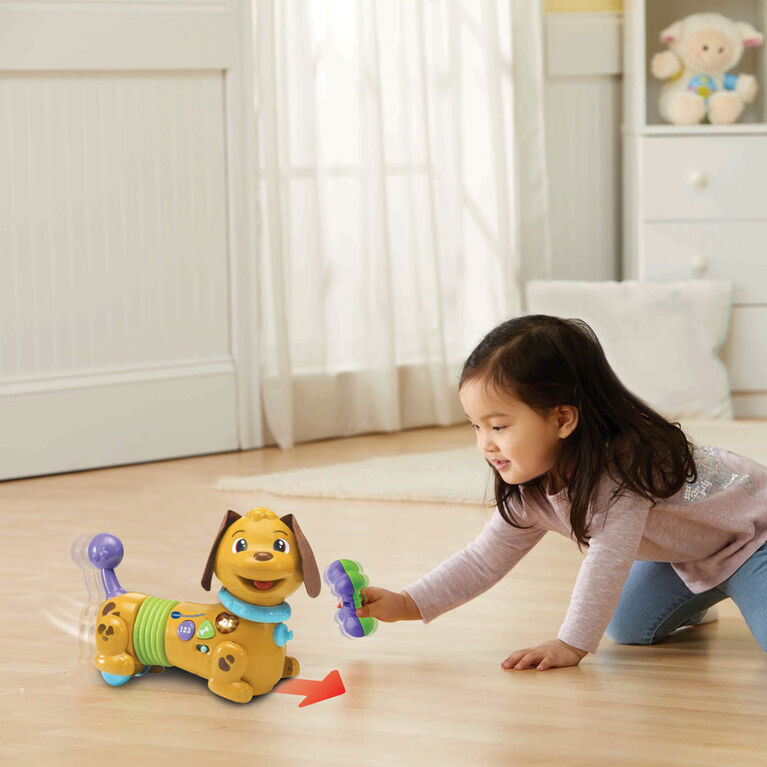 VTech® Rattle & Waggle Learning Pup - French Edition