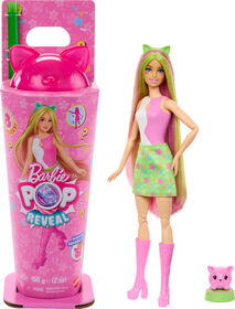 Barbie Pop Reveal Shakes Series