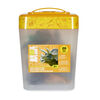 Animal Planet - Dinosaur Bucket Collection - 20 Piece - R Exclusive