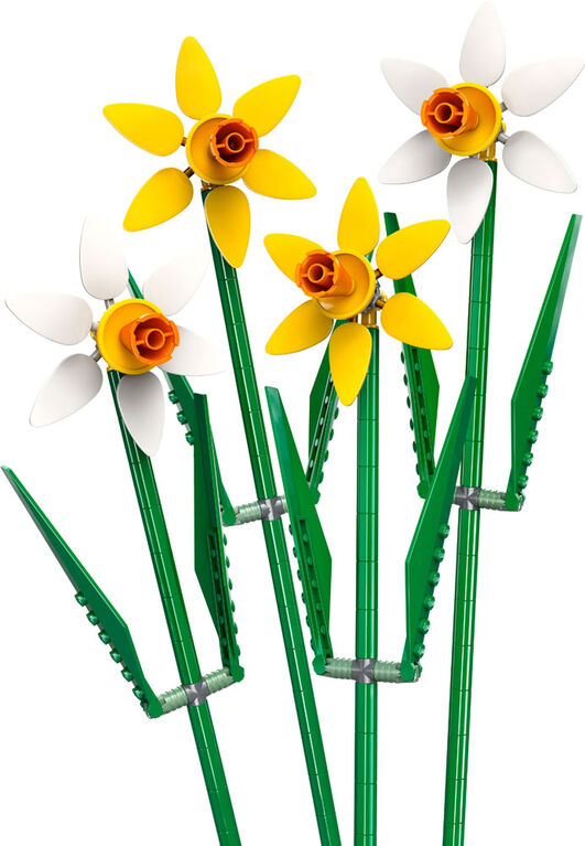 Les jonquilles Cadeau de célébration 40747