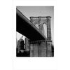 Fujifilm Instax Mini Instant Monochrome Film - Single Pack (10 Exp)