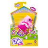 P'tit Oiseau Little Live Pets - Reine Gazou