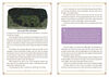 The Night School For Young Mystics - English Edition