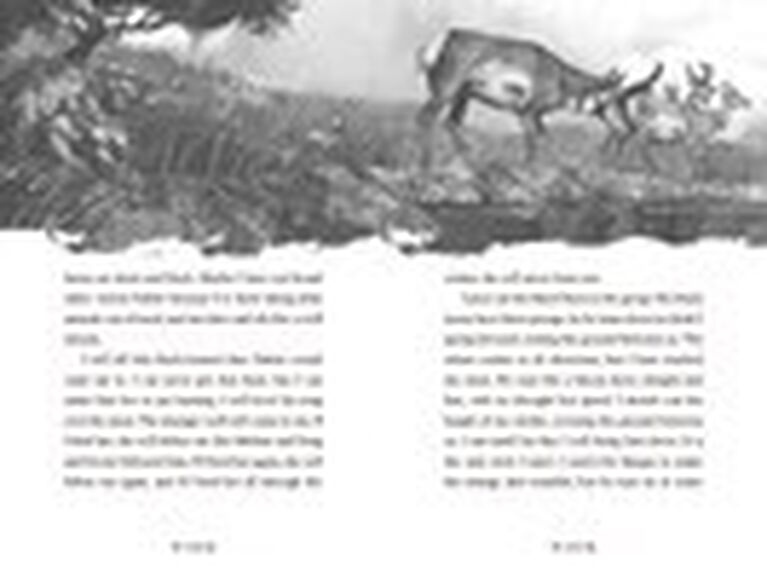 A Wolf Called Wander - Édition anglaise