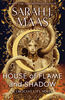 House of Flame and Shadow - English Edition