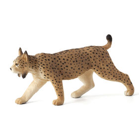 ALEX - Iberian Lynx - Medium