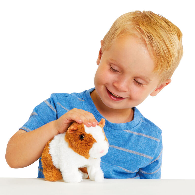 Pitter Patter Pets cochon d'Inde motorisé - Notre Exclusivité