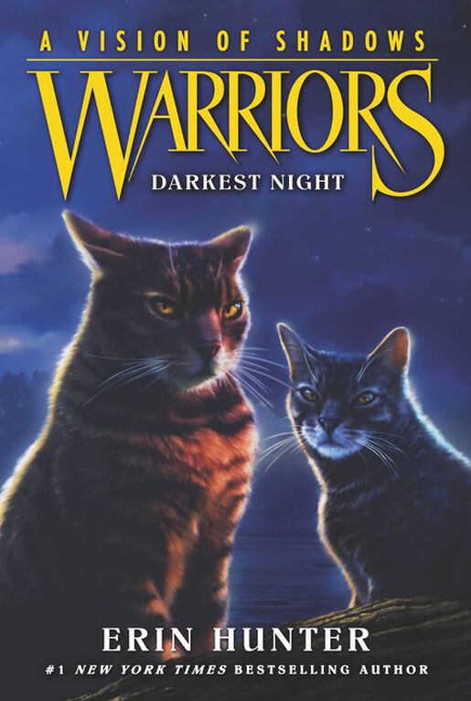 A Vision Of Shadows #4: Darkest Night - English Edition