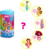 Barbie Chelsea Color Reveal Doll with 6 Surprises, Rainbow Mermaid Series