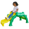 Kidkraft Hop N Slide Frog Climber