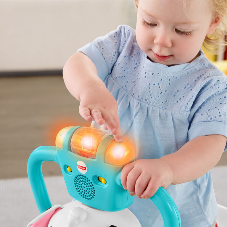 Fisher-Price Bounce and Spin Puppy