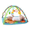 Zippy Zoo Activity Gym