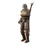 Star Wars The Black Series The Mandalorian and Grogu (Arvala-7), figurines articulées The Mandalorian - Notre exclusivité