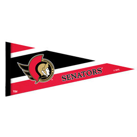 NHL Ottawa Senators Collector Pennant