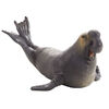 ALEX - Sea Elephant - Extra Large