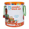 ALEX - 75 Piece Wooden Block Set
