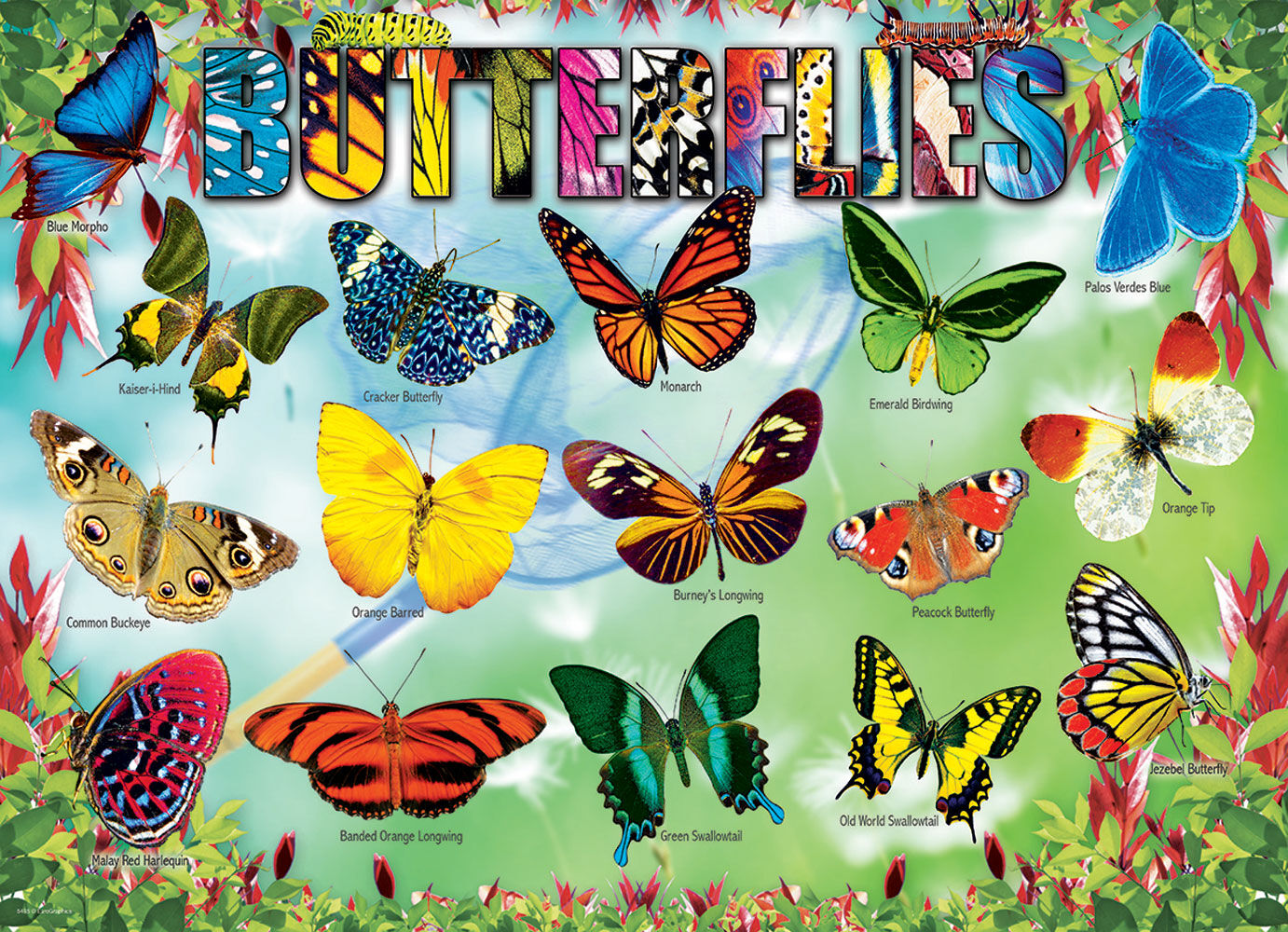 Eurographics Educational 100 Piece Butterflies