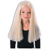 Long Blonde Wig