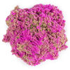 Kinetic Sand, Seashell Container with 4.5oz Neon Pink and Kinetic Beach Sand