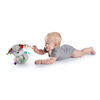 Bright Starts™ Bobble and Chime Puppy™