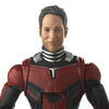 Avengers Marvel Legends Series - Ant-Man 15 cm.