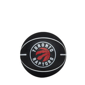Toronto Raptors Dribllers