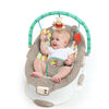 Bright Starts Disney Baby WINNIE THE POOH Dots & Hunny Pots Bouncer