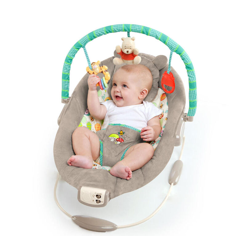 Bright Starts Disney Baby WINNIE THE POOH Dots & Hunny Pots Bouncer