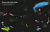 Big Sticker Book of Sharks - English Edition