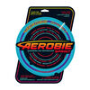 Aerobie Sprint Ring Outdoor Flying Disc - 10 Inches - Blue