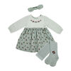 Baby Mode 3 Piece Crinkled Knit Dress Set: Green Floral 3-6M