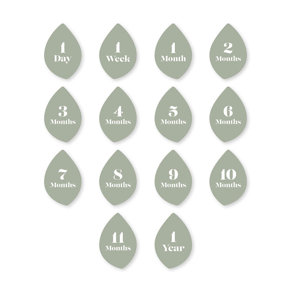 Lulujo - Baby's 1st Year Milestone Blanket- Sweet as a Peach